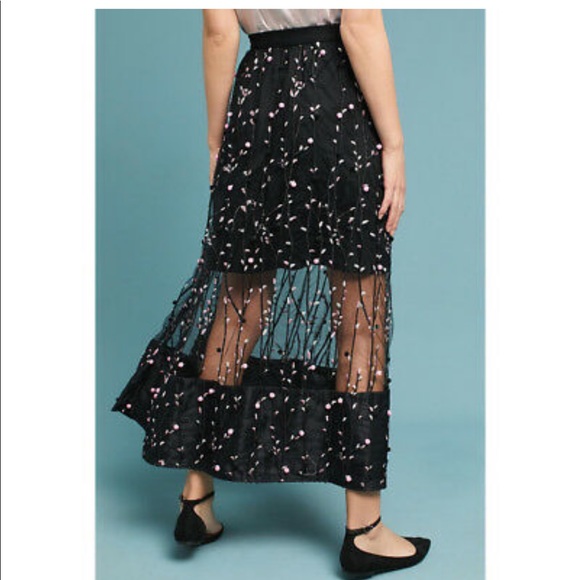 Eva Franco sheer skirt - Picture 2 of 7